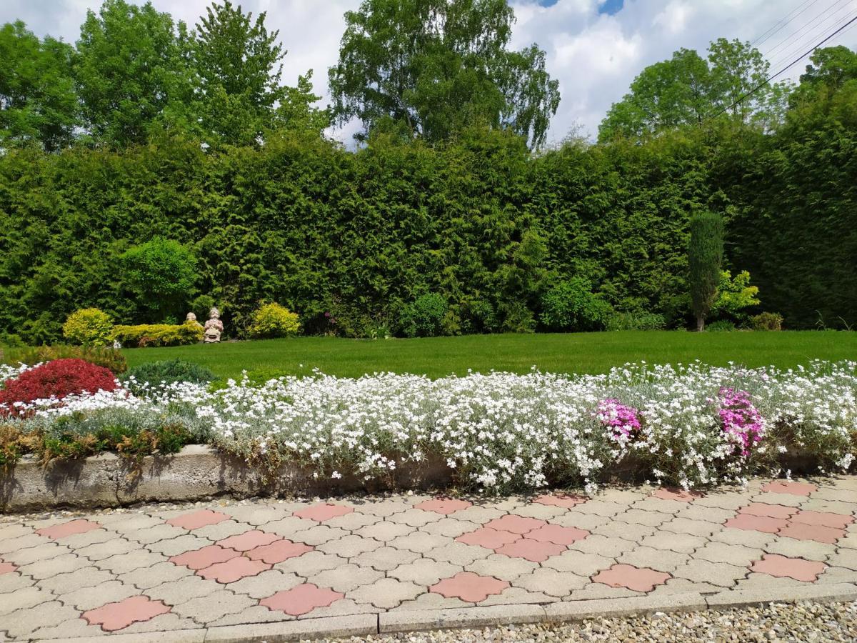 Apartmany Okoun Velke Losiny Exterior photo
